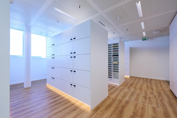 AUDIT FIRM · LUXEMBOURG — PHASE 1